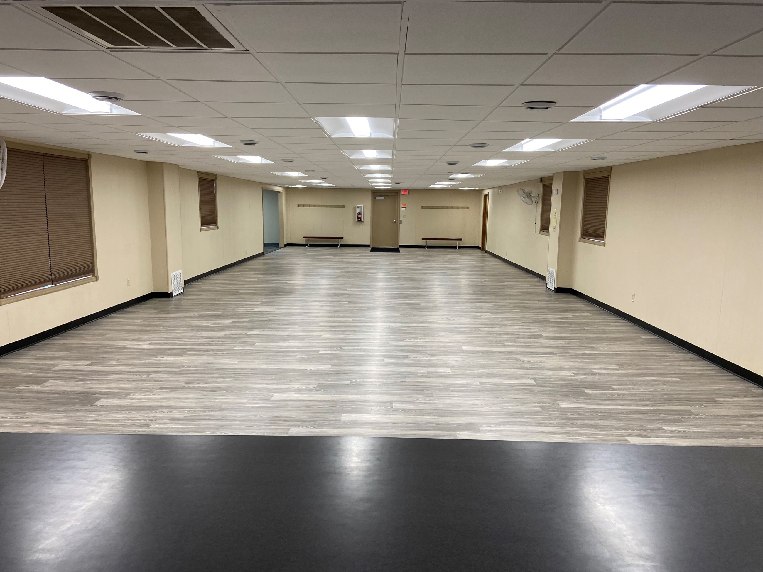 Lions Shelter view from kitchen counter