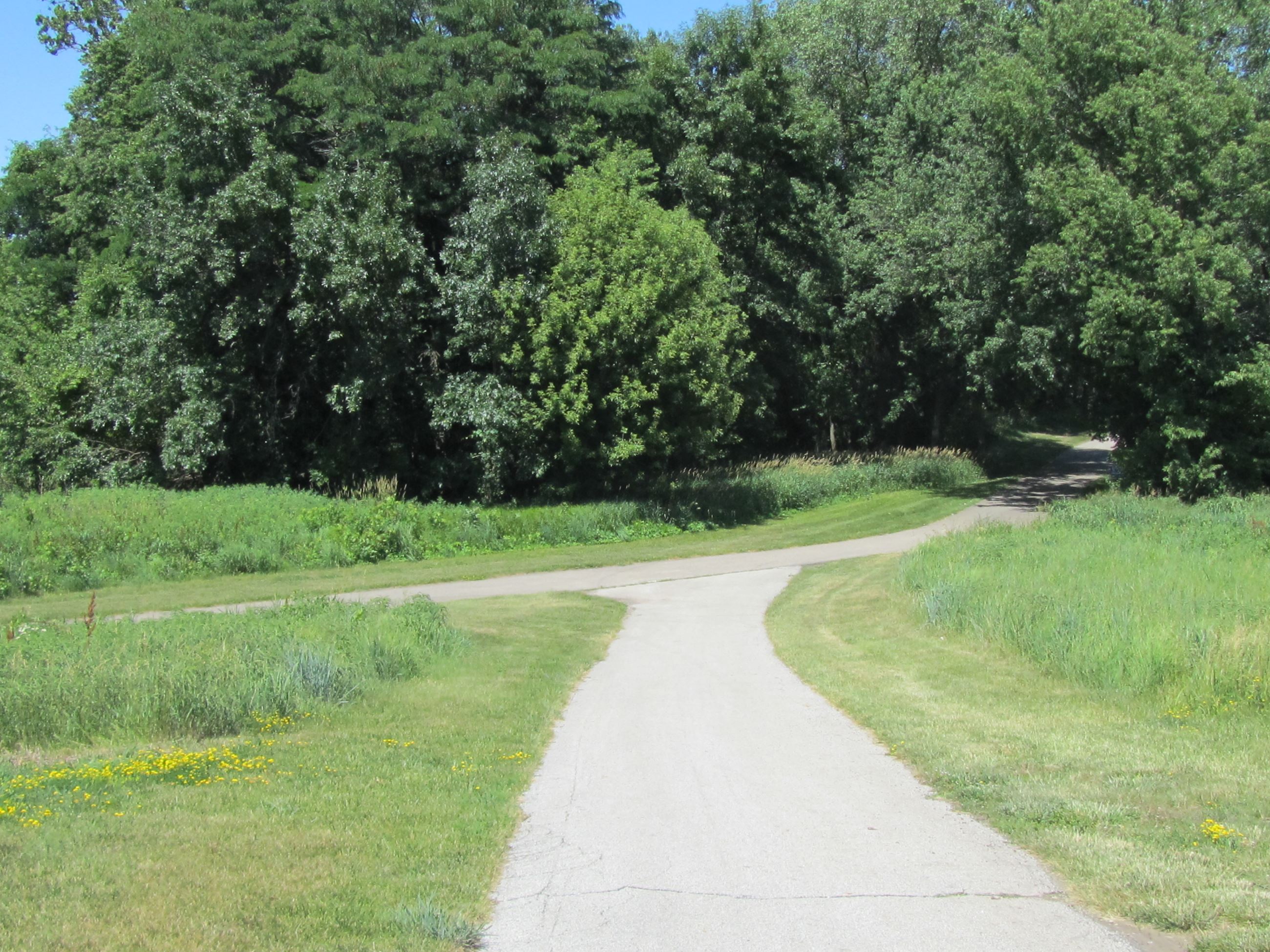 Nothview Wetlands (1)